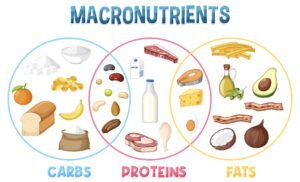 macronutrients